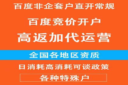 百度SEO推广实战：行业领先企业的成功之道